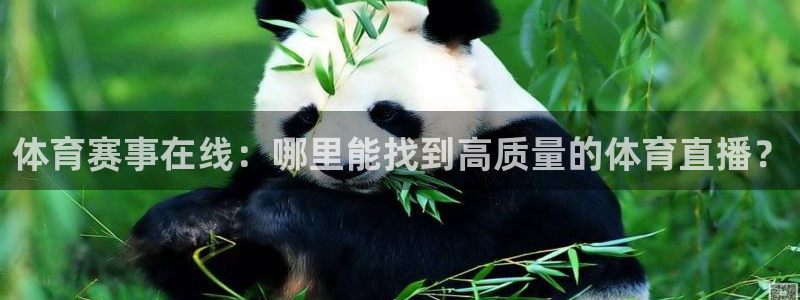 体育赛事在线：哪里能找到高质量的体育直播？