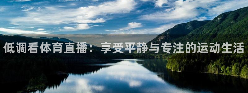 低调看体育直播：享受平静与专注的运动生活