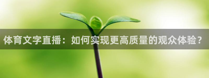体育文字直播：如何实现更高质量的观众体验？