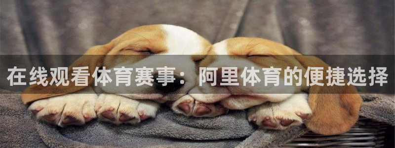 在线观看体育赛事：阿里体育的便捷选择