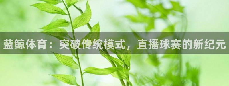 蓝鲸体育：突破传统模式，直播球赛的新纪元