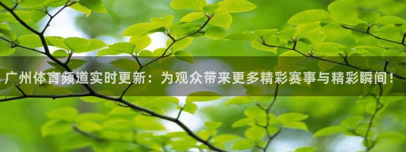 广州体育频道实时更新：为观众带来更多精彩赛事与精彩瞬间！