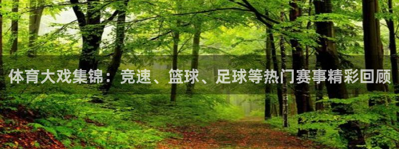 体育大戏集锦：竞速、篮球、足球等热门赛事精彩回顾
