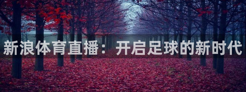 新浪体育直播：开启足球的新时代